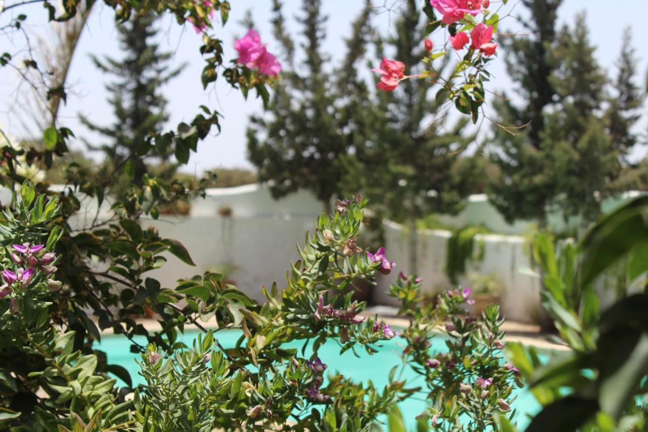 Riad Sanam Essaouira Luaran gambar