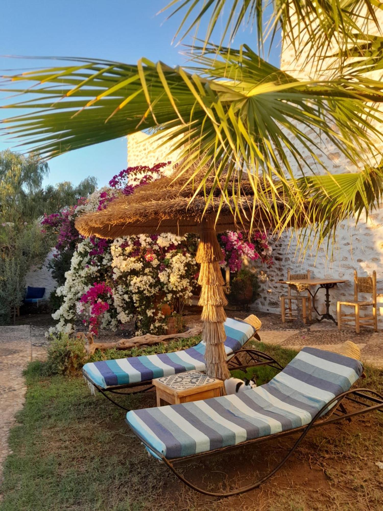 Riad Sanam Essaouira Luaran gambar