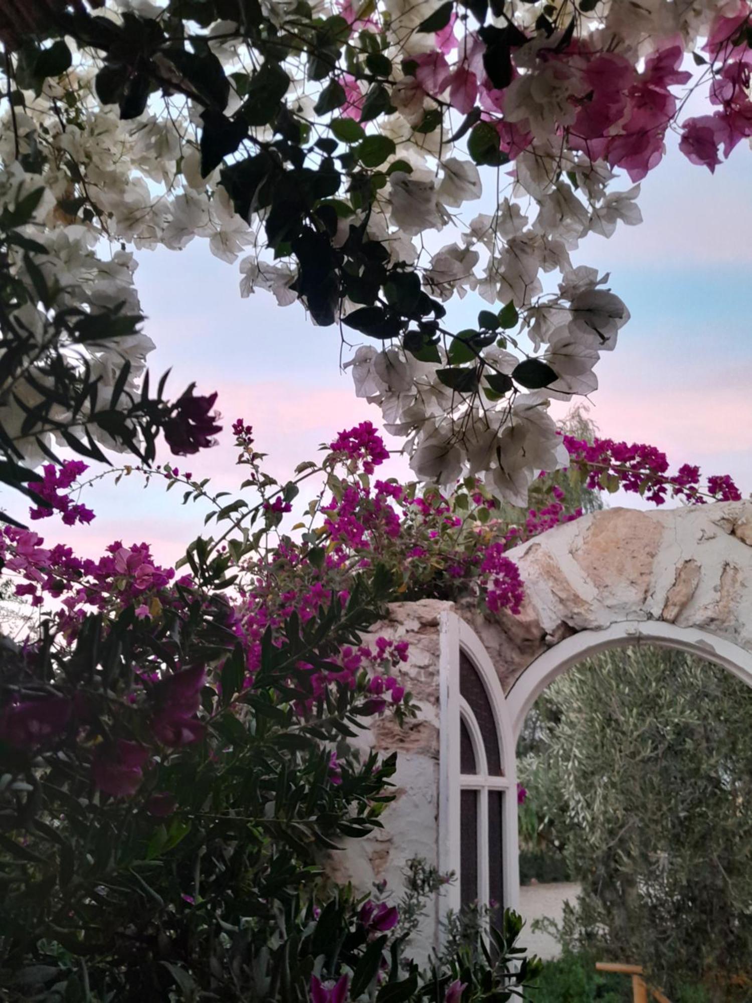 Riad Sanam Essaouira Luaran gambar