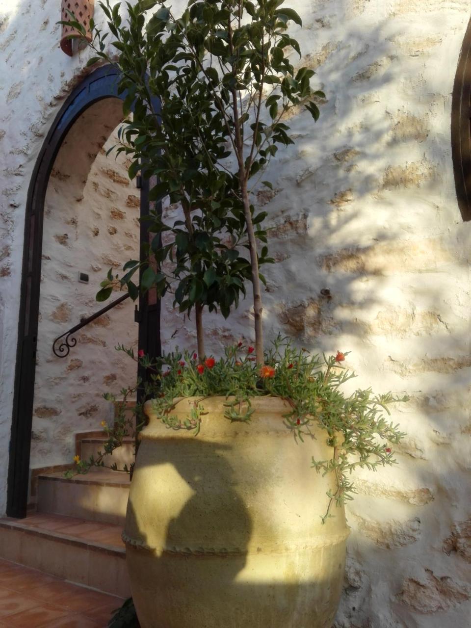 Riad Sanam Essaouira Luaran gambar